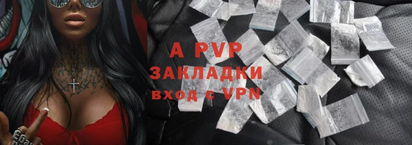дурь Щигры