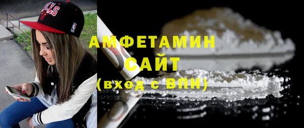 стаф Ельня