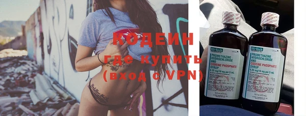 индика Дмитровск