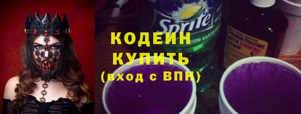 стаф Ельня