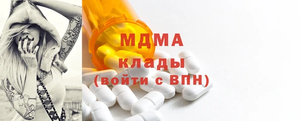 стаф Ельня