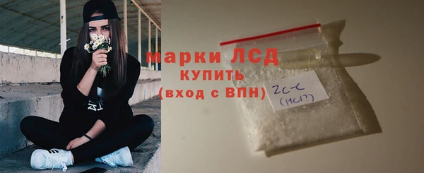 стаф Ельня