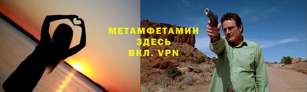 индика Дмитровск