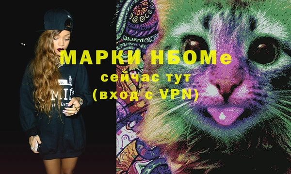 стаф Ельня