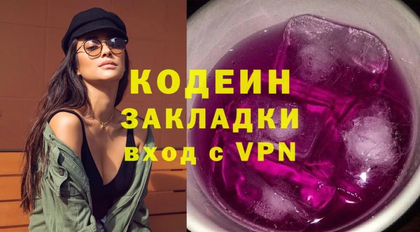 индика Дмитровск