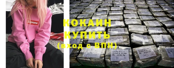 стаф Ельня