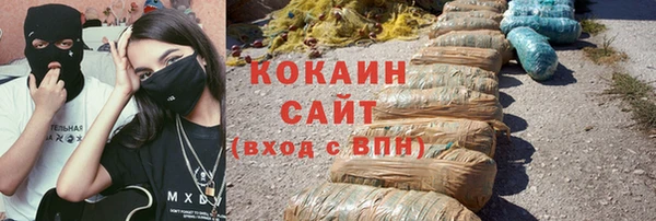 стаф Ельня