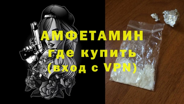 стаф Ельня