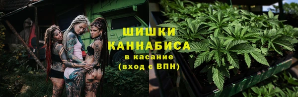 стаф Ельня
