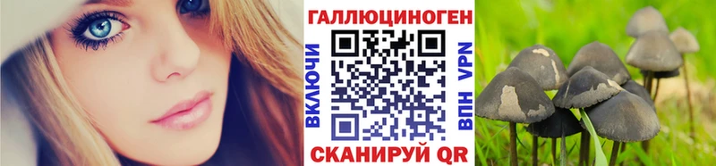 купить закладку  Кингисепп  Галлюциногенные грибы мухоморы 