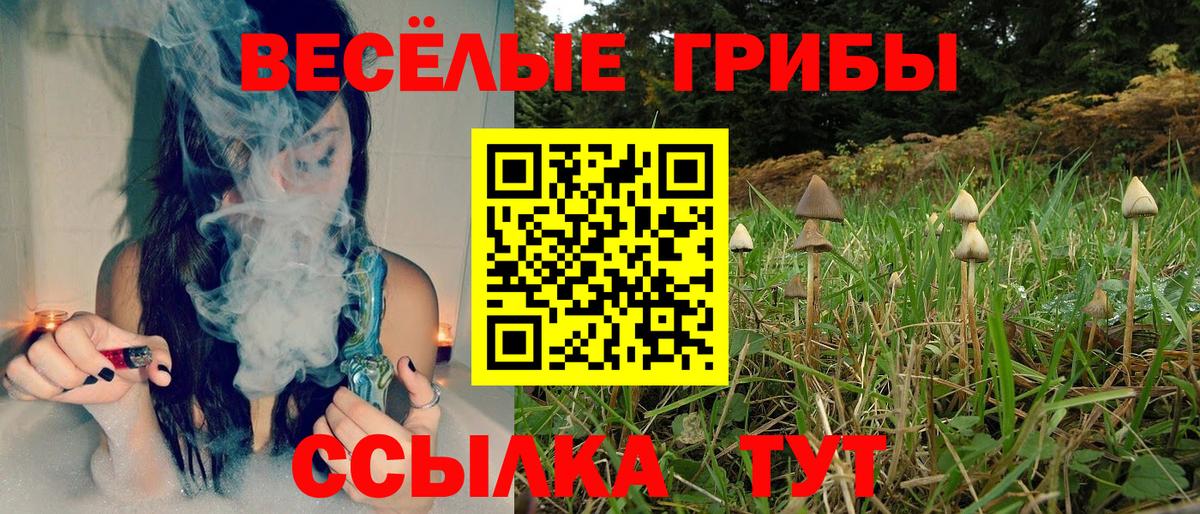 Псилоцибиновые грибы ЛСД Кингисепп